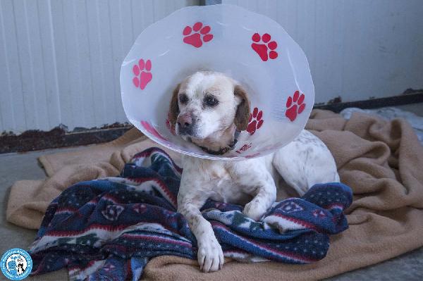 Emily, la delicatezza che chiede solo pace Foto 2